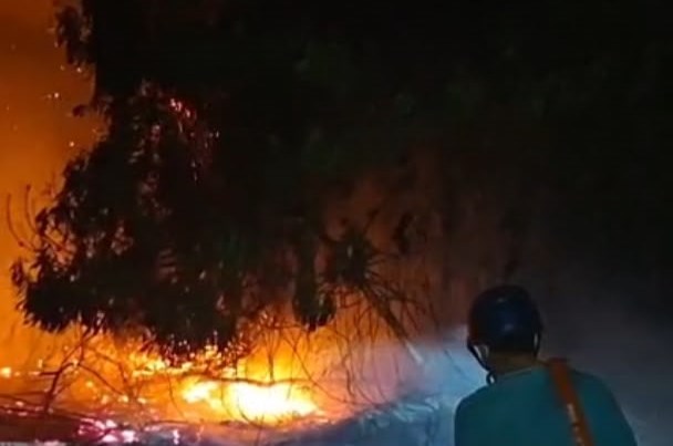 Sebaran Hot Spot di Kalteng Capai 2.110, Terparah di Kotim