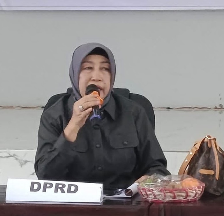 Dewan Dukung Inventaris Aktivitas Pertambangan Rakyat