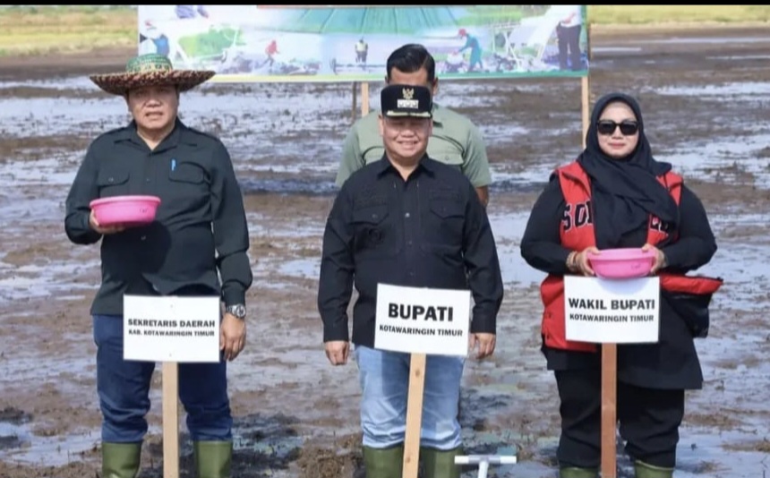 Dukung Gerakan Ketahanan Pangan. Bupati Kotim Panen Padi di Teluk Sampit