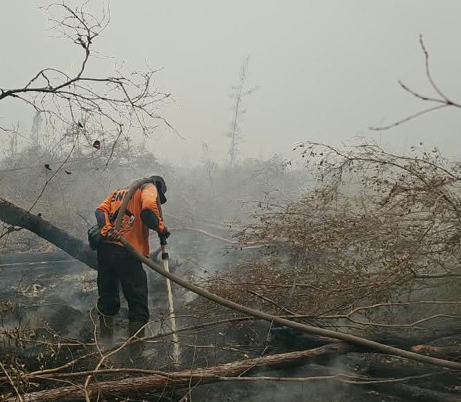 Makin Parah, Terdeteksi 3.908 Hot Spot Baru di Kalteng