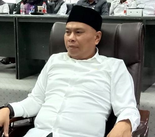 Dewan Apresiasi Gerak Cepat Tim Gabungan Atasi Karhutla