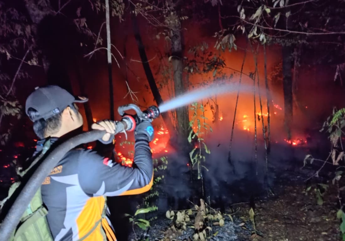 Karhutla Barsel Tembus 1.329 Hektare, Dusun Selatan Jadi Wilayah Terparah