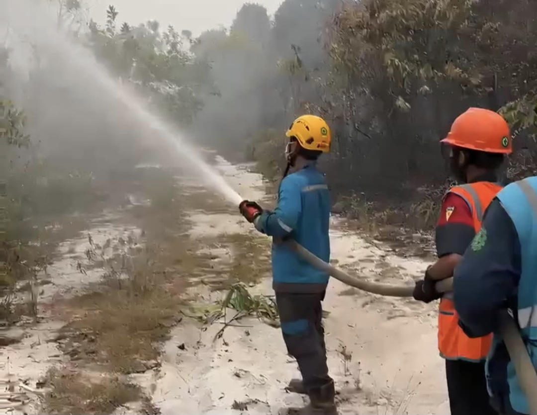Peduli Berkelanjutan, PLN Perkuat Sarana Mitigasi Karhutla di Kalteng