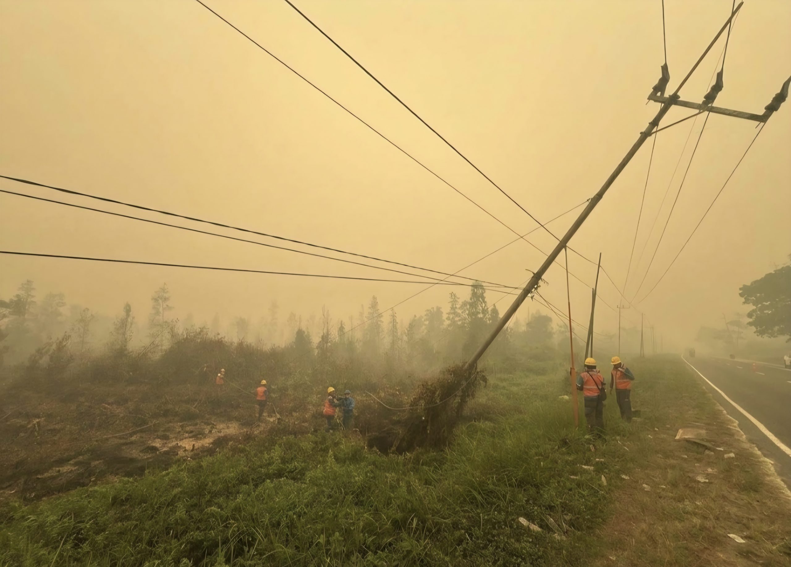 Sigap Antisipasi Karhutla, PLN Amankan Aset Listrik di Kasongan