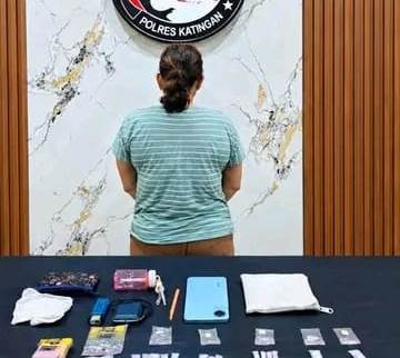 Jual Sabu, IRT Desa Hampalit Diringkus Polisi